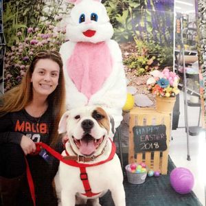 Meet your Posher, Ashley